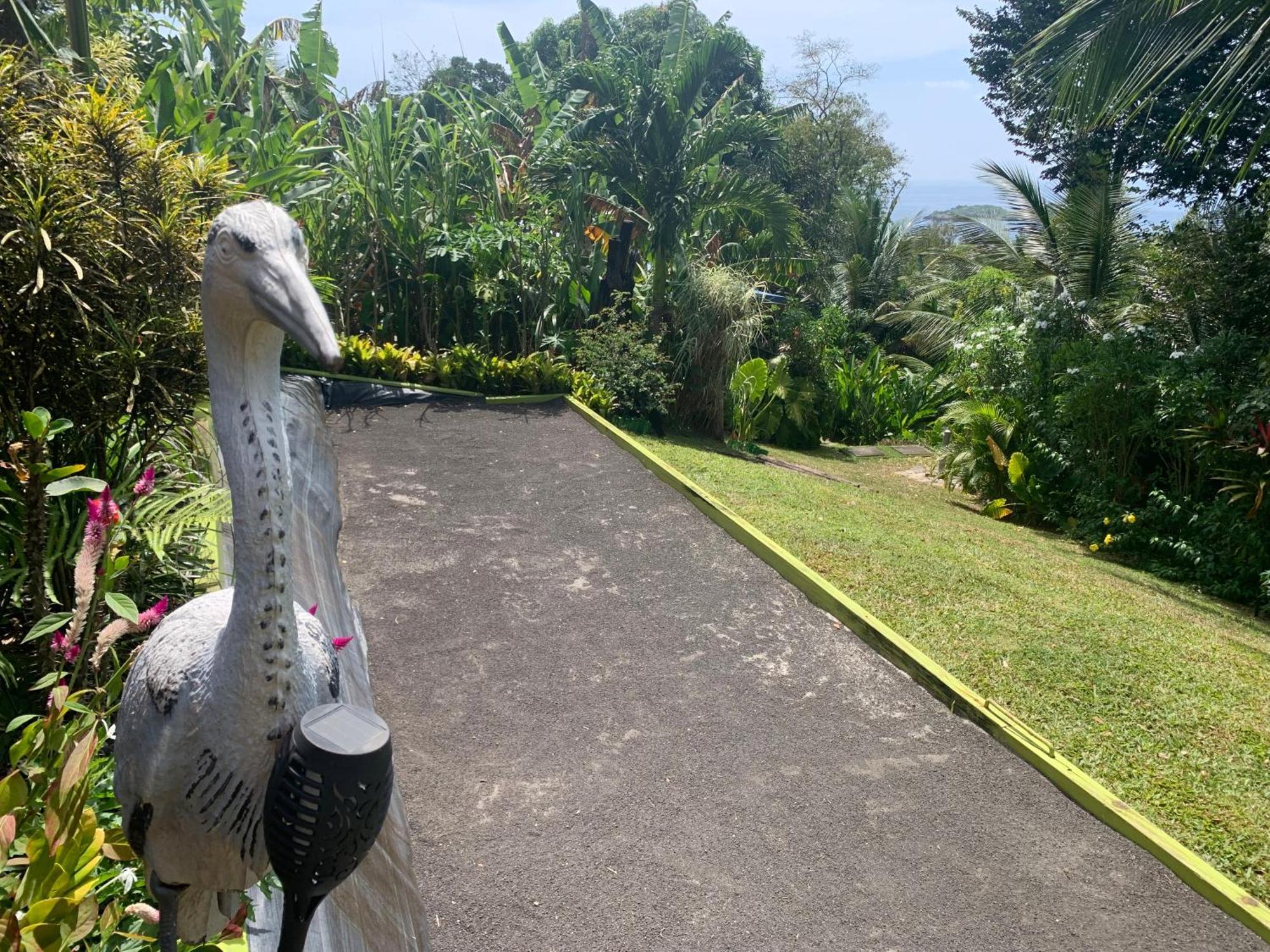 Les Ilets Caraibes Vue Mer Bouillante Exteriér fotografie