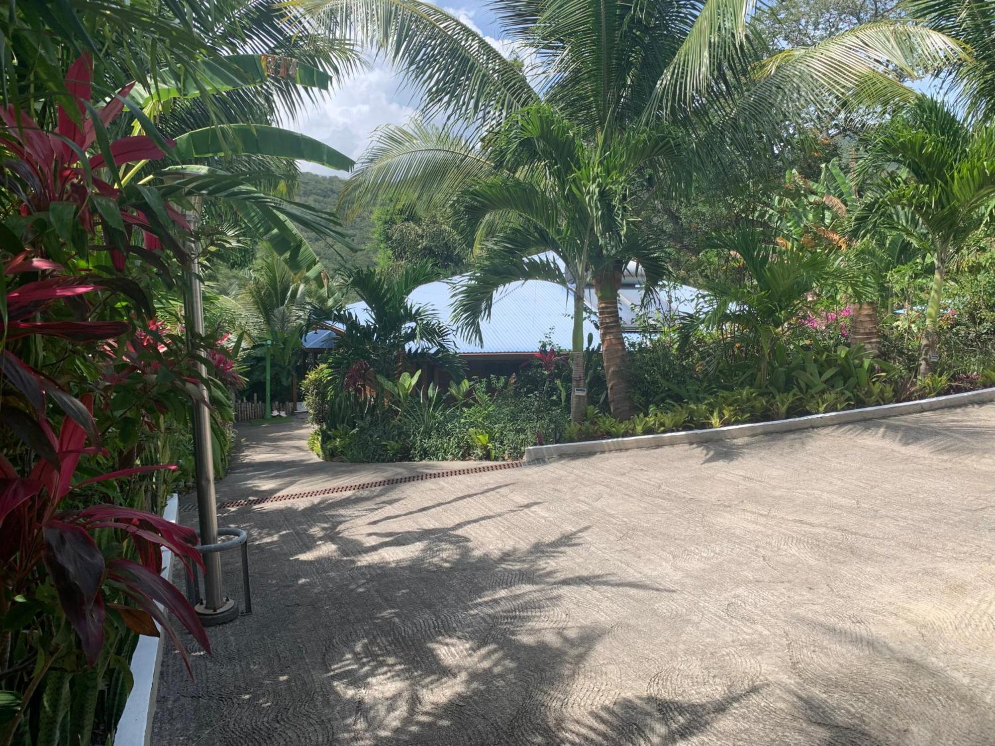 Les Ilets Caraibes Vue Mer Bouillante Exteriér fotografie